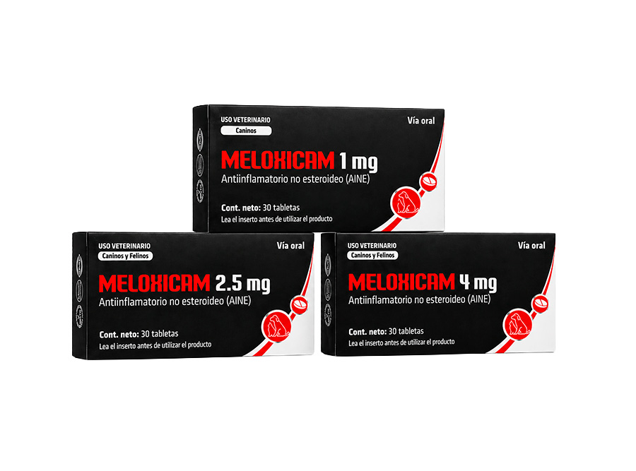 Meloxicam – Pharmapec